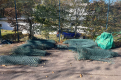 WhatsApp-Image-2025-10-30-at-11.59.36-1